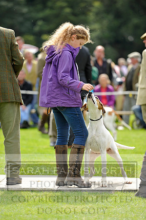 Rydal 2014 CF2 584