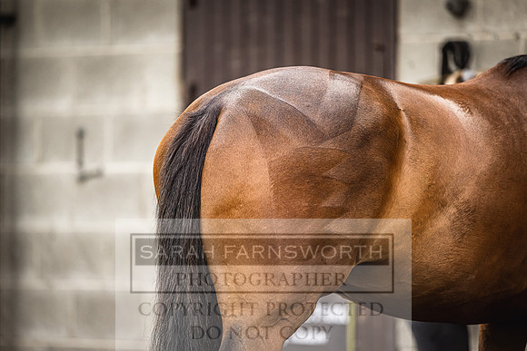 Goffs Land Rover Sale 2022-525