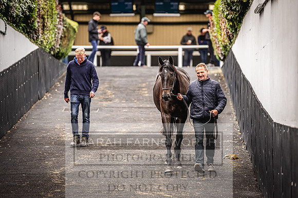 Goffs Land Rover Sale 2022-445