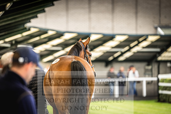 Goffs Land Rover Sale 2022-182