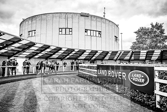 Goffs Land Rover Sale 2022-275