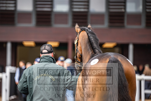 Goffs UK Spring Sale 2024-86