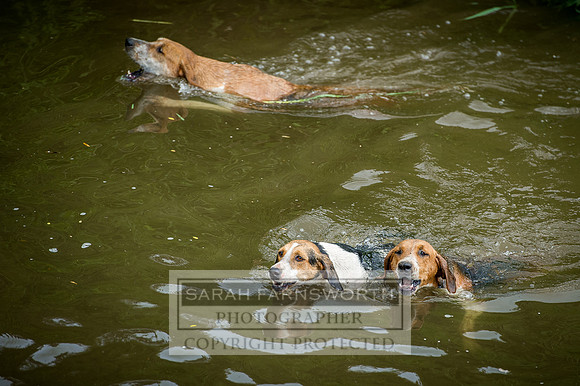 Desmond 060616-87