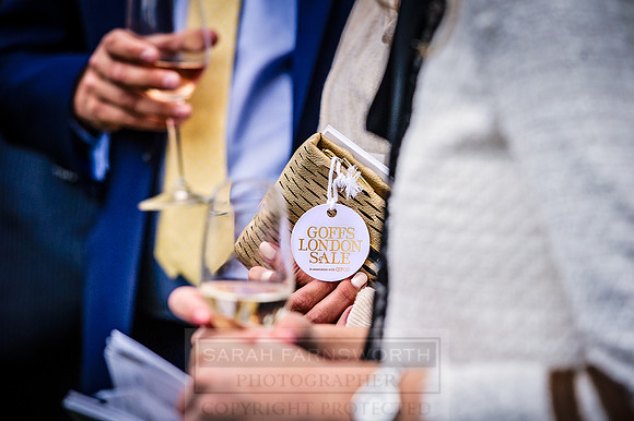 Goffs London Sale 2016-458