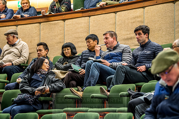 Goffs Orby 2018 Day 1-143
