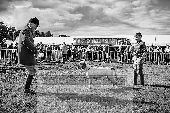 Lowther Hound Show 2017-134