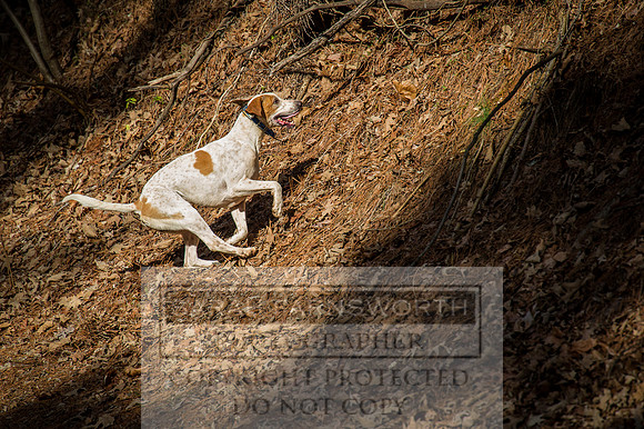 Mooreland Hunt-37