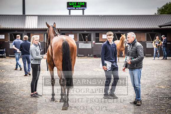 Goffs UK Spring Sale 2024-146