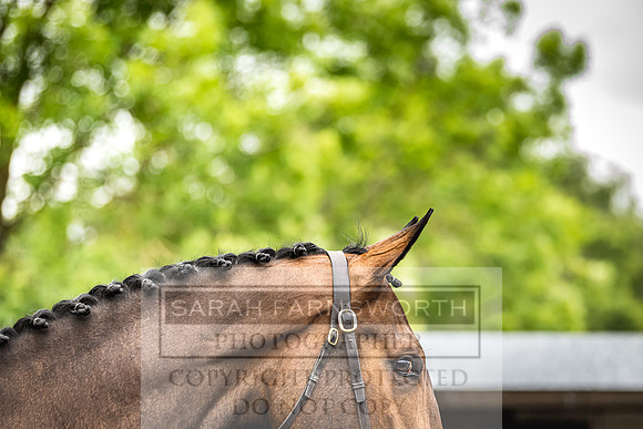 Goffs Land Rover Sale 2022-351
