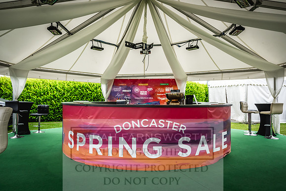 Goffs UK Spring Sale 2024-89