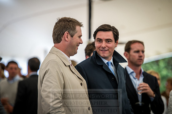 Goffs London Sale 2016-285