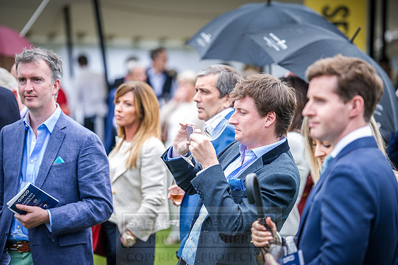 Goffs London Sale 2016-406
