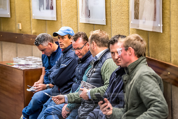 Goffs Orby 2018 Day 2-117
