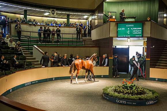 Goffs Orby 2015 -257