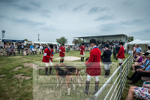 PFoH 2016-378