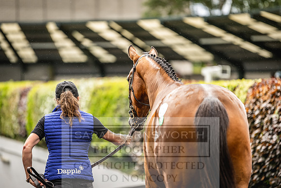 Goffs Land Rover Sale 2022-582