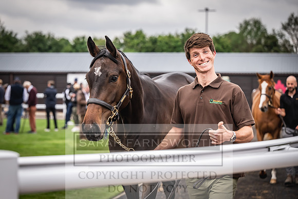 Goffs UK Spring Sale 2024-125