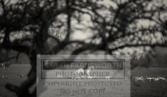 NCH 011214 -206 bw
