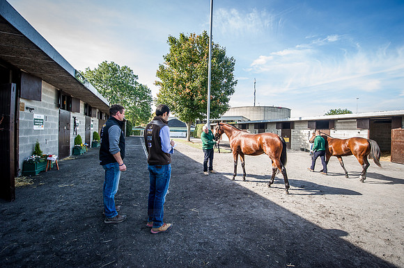 Goffs Orby 2015 -279