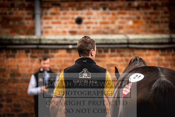 Goffs Yorton Sale 2022-23