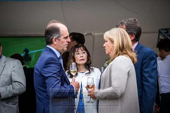 Goffs London Sale 2016-268