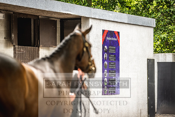 Goffs Land Rover Sale 2022-366