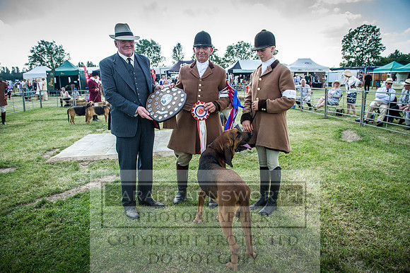 PFoH 2016-618