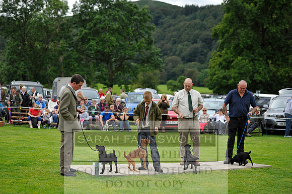 Rydal 2014 CF2 672