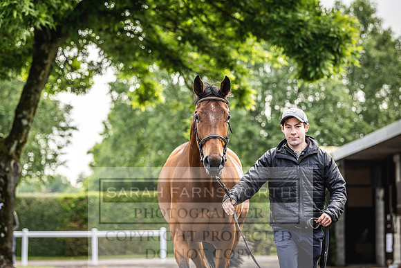 Goffs Land Rover Sale 2022-25