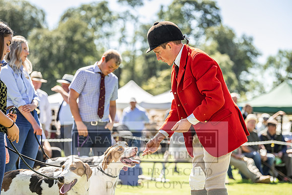 Rydal Hound Show 2022-56