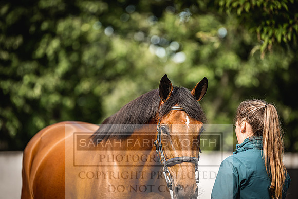 Goffs Land Rover Sale 2022-76