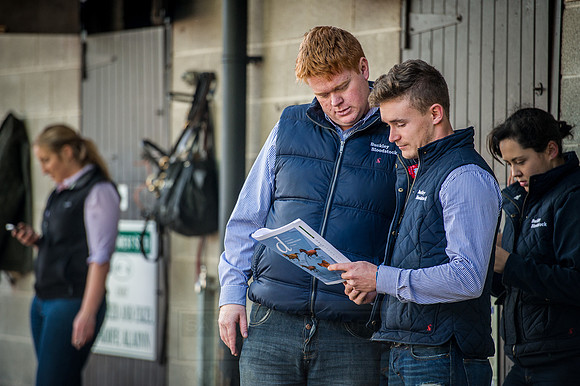 Goffs Orby 2015 -223