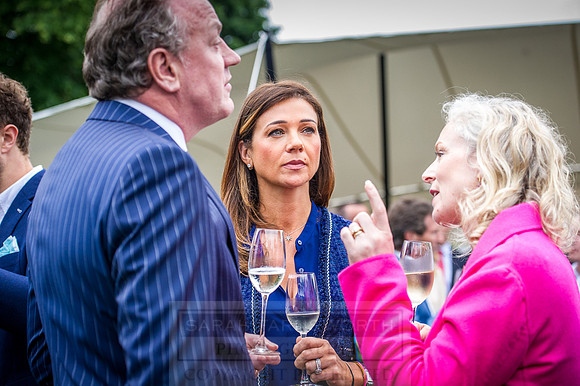 Goffs London Sale 2016-471