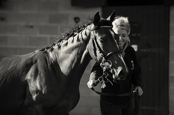 Goffs Orby14 CF7 255 bw