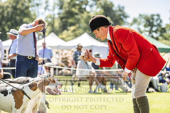 Rydal Hound Show 2022-57
