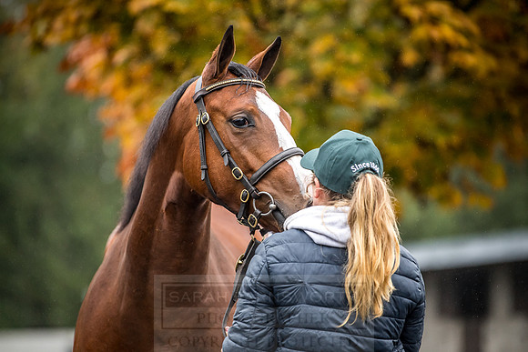 Goffs Orby 2018 Day 1-22