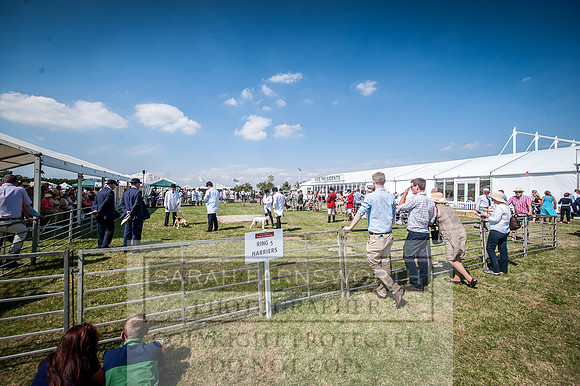 PFoH 2016-592
