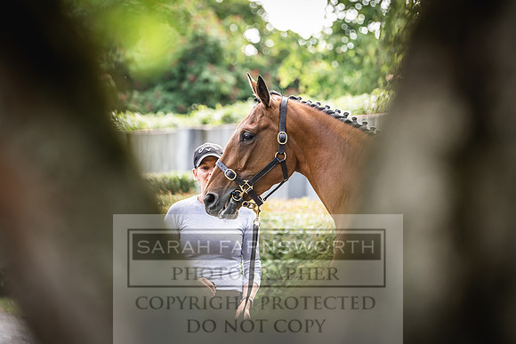 Goffs Land Rover Sale 2022-164