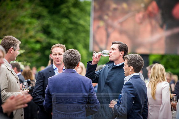 Goffs London Sale 2016-107