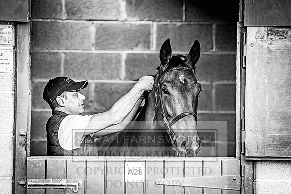 Goffs Land Rover Sale 2022-20