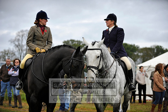Brocklesby 021113 CF3 368