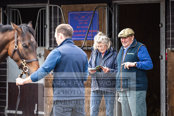 Goffs UK Spring Sale 2024-81