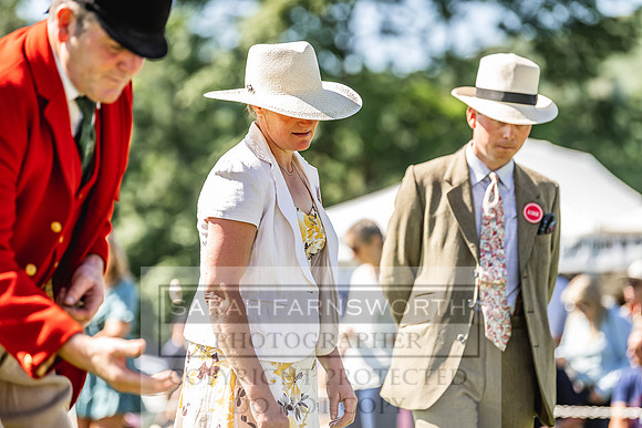 Rydal Hound Show 2022-45