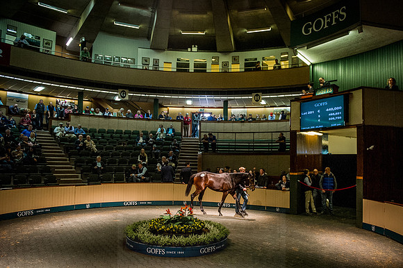 Goffs Orby 2015 -426