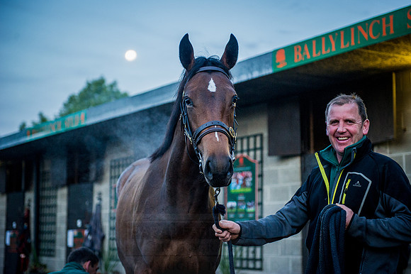Goffs Orby 2015 -67