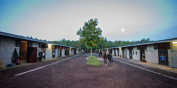 Goffs Orby 2015 -43