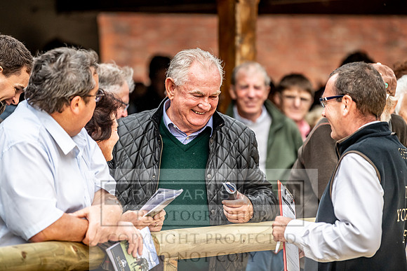 GUK Yorton Sale 2019-326