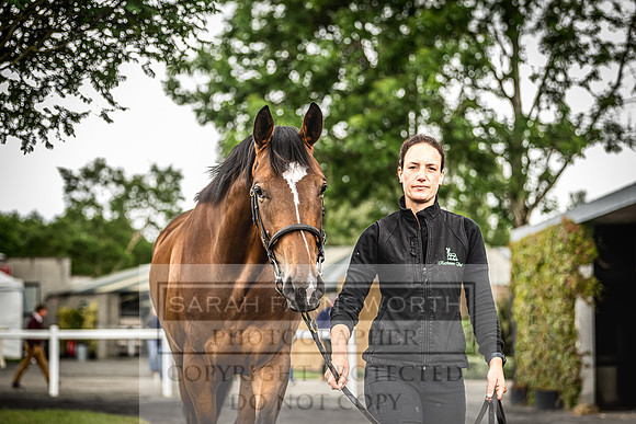 Goffs Land Rover Sale 2022-544