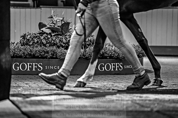Goffs Orby 2018 Day 1-191