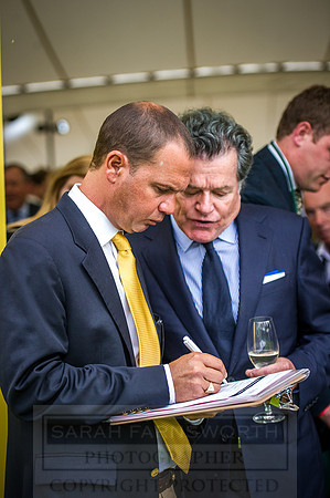 Goffs London Sale 2016-356